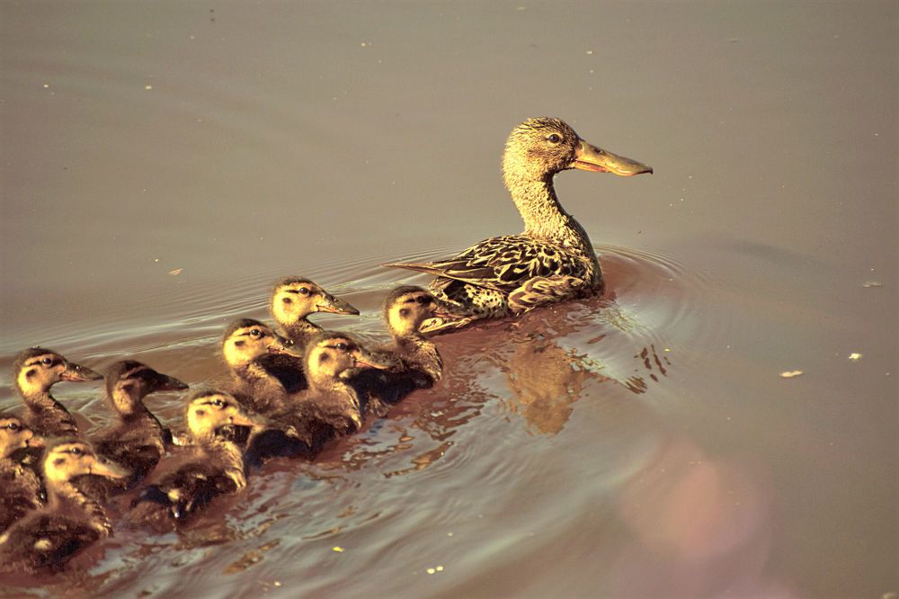 Photograph by Александр Шувалов