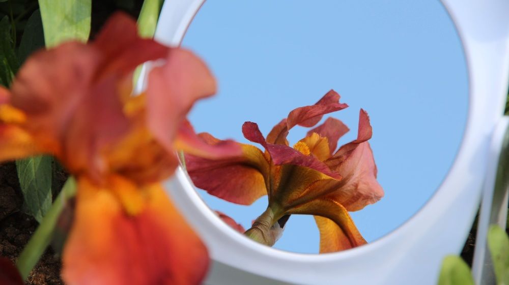 Photograph by Екатерина Сафронова