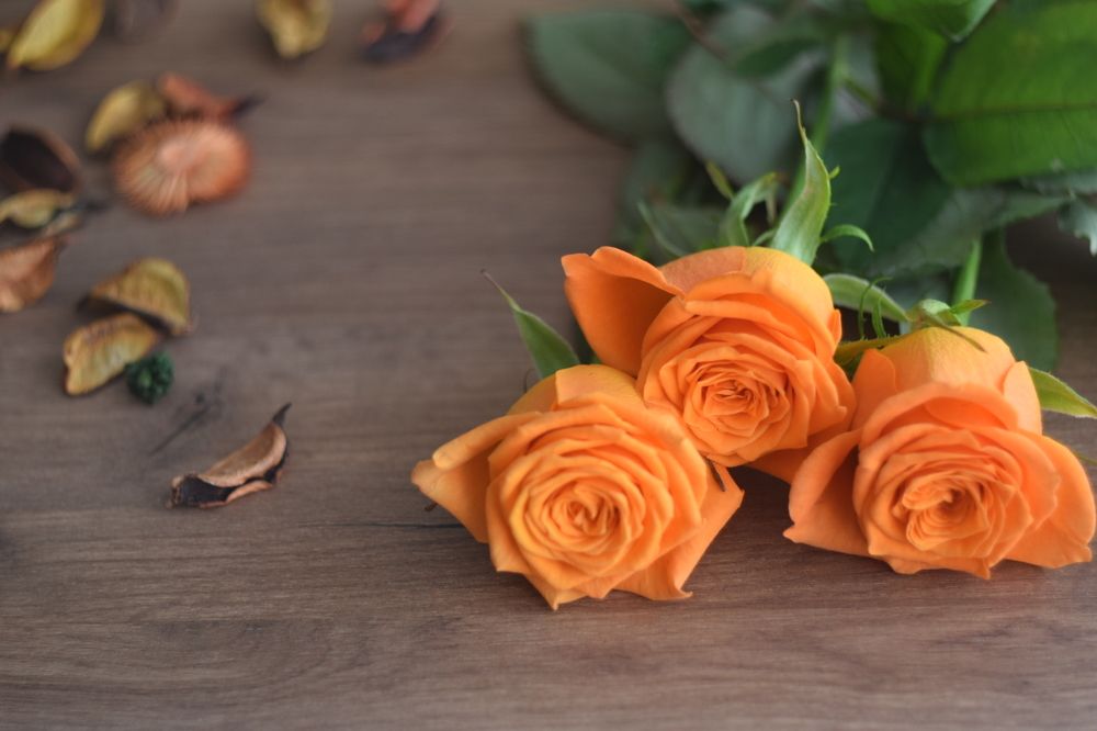 Photograph by Екатерина Сафронова