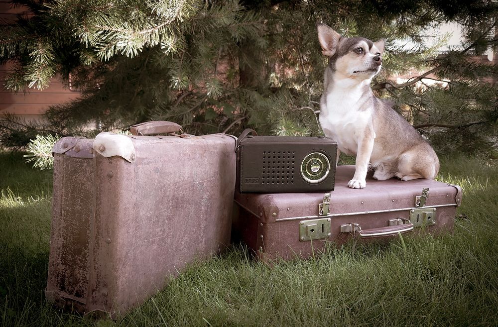 Фотография автора Elena Ku