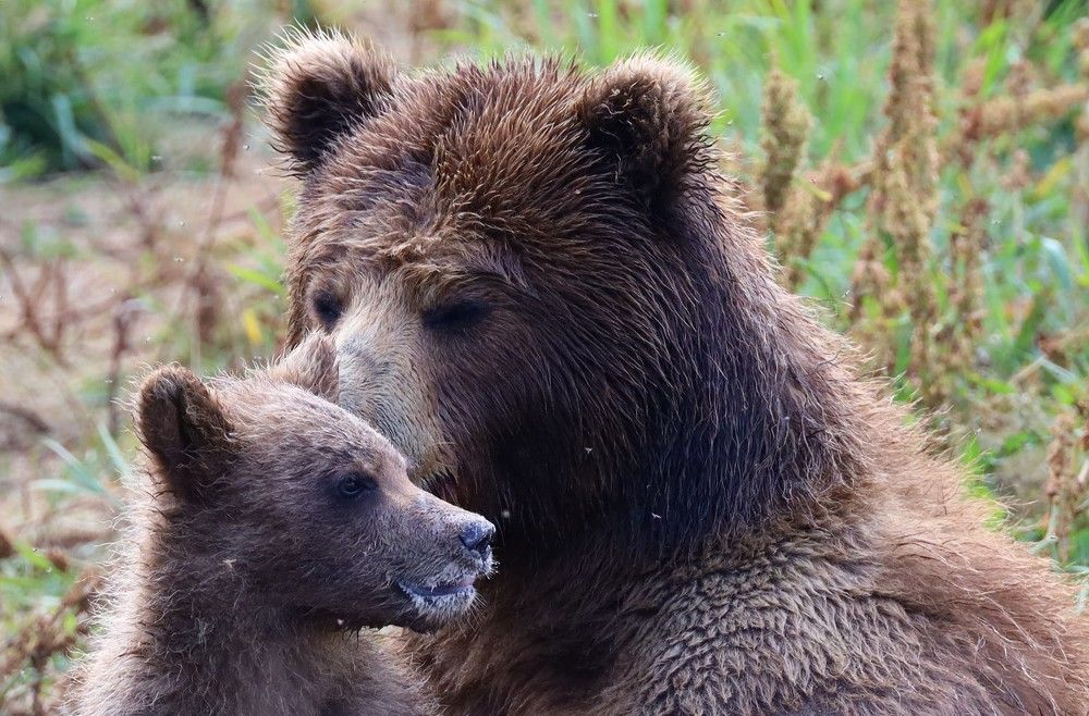 Photograph by Диана Жагрина