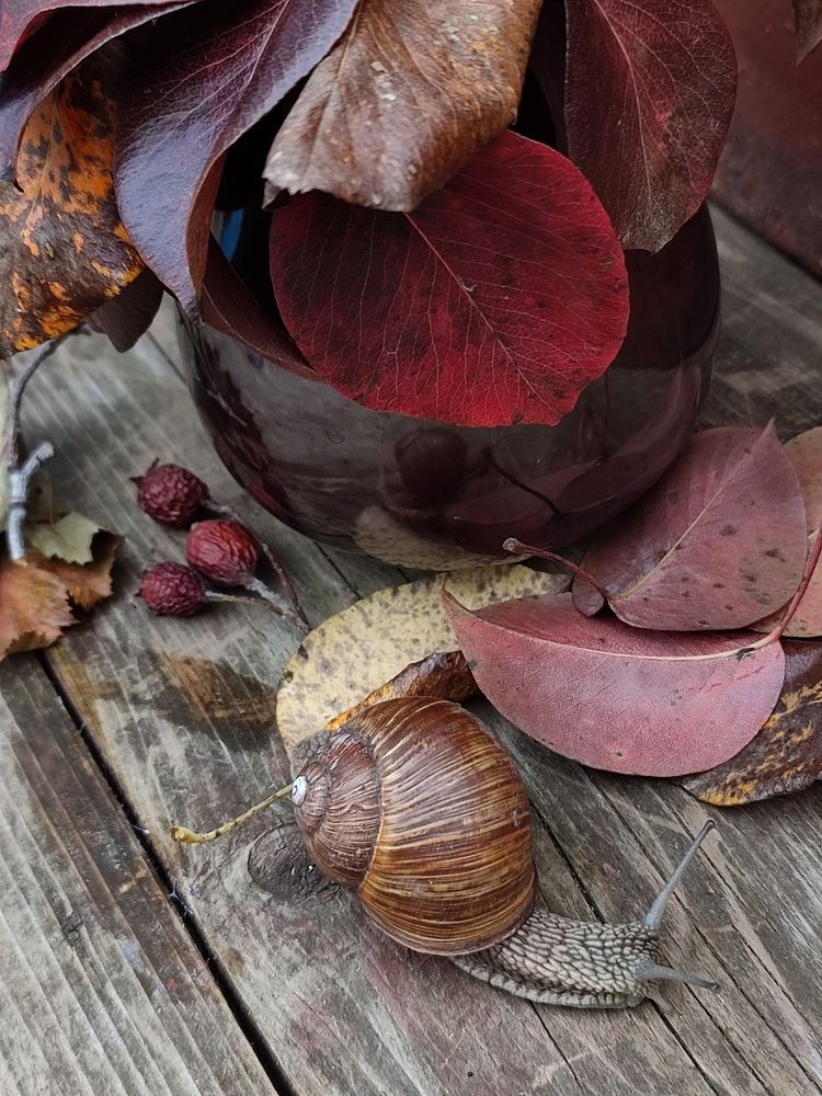 Photograph by Galina Novichkova