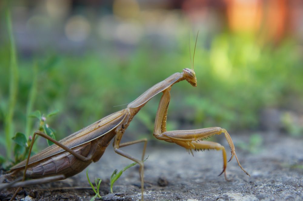 Photograph by Олег