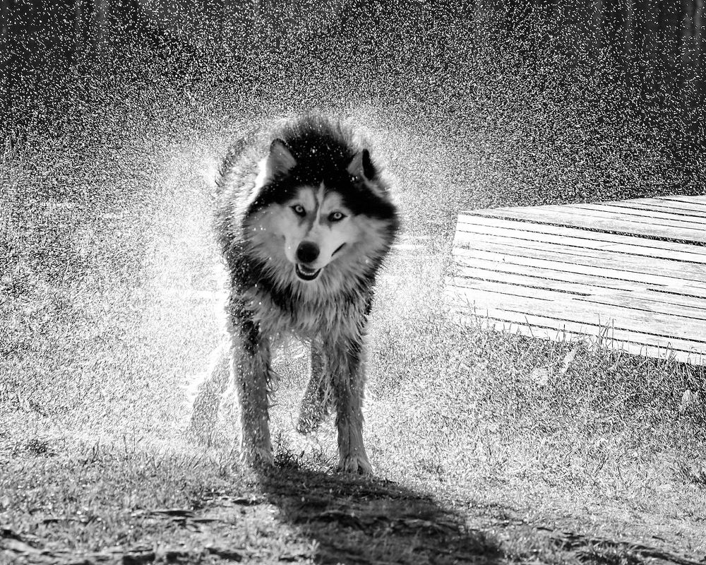 Photograph by Наталья Суслова