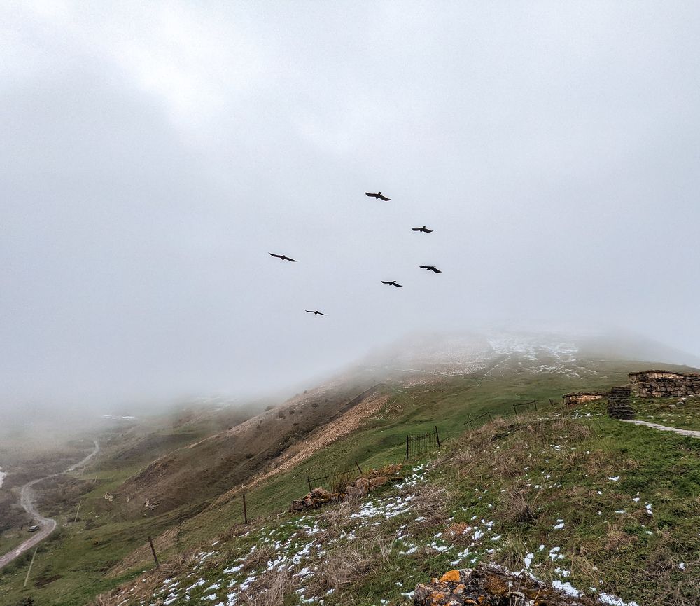 Photograph by Елизавета Коровина