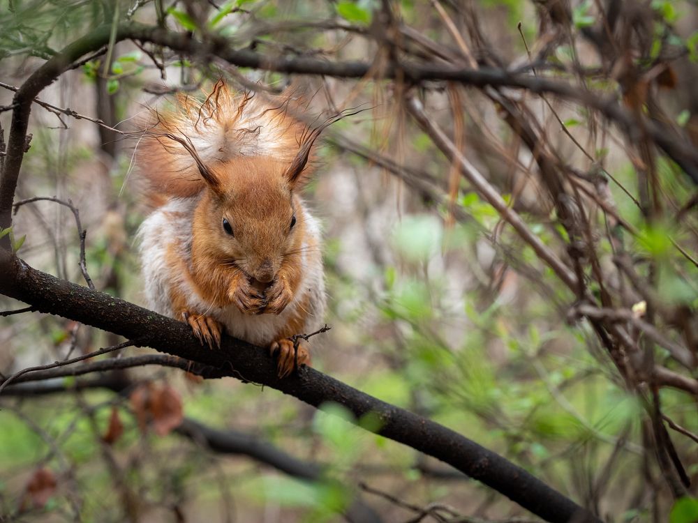Photograph by Маргарита Ивкова