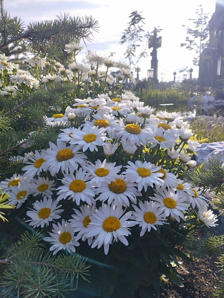 Photograph by Ольга Антохина