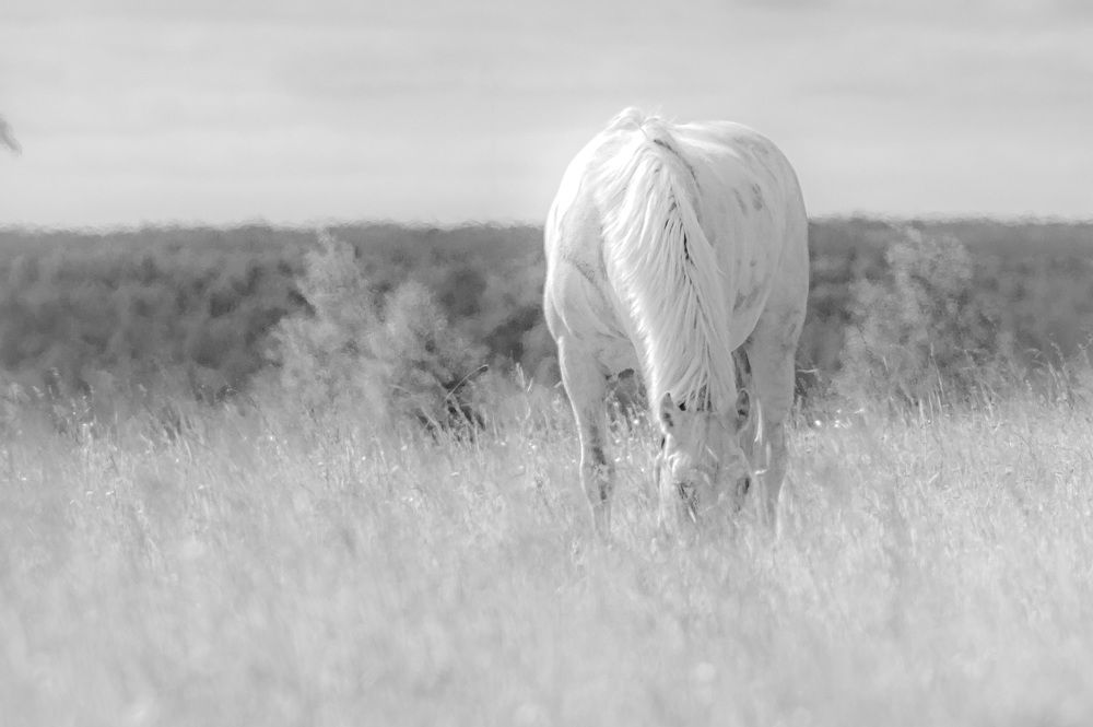 Photograph by Сергей Забиякин