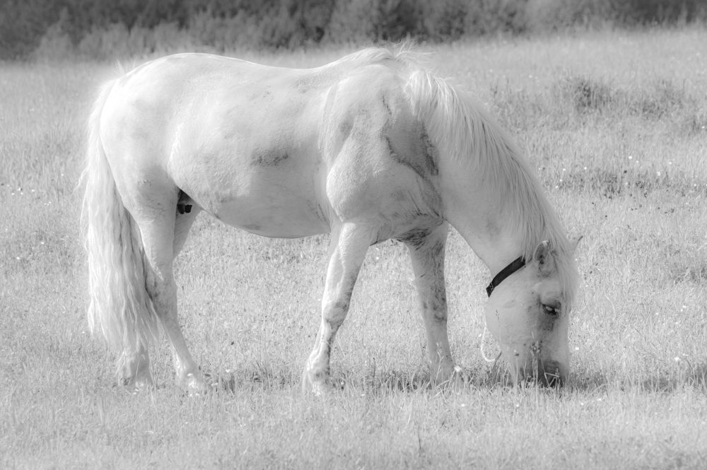 Photograph by Сергей Забиякин