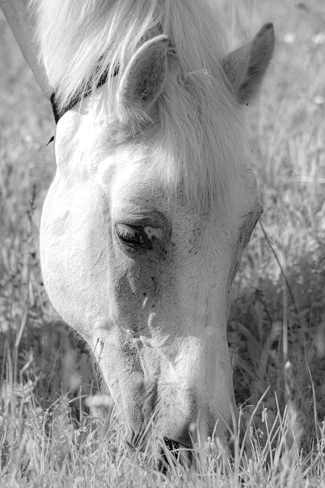 Photograph by Сергей Забиякин