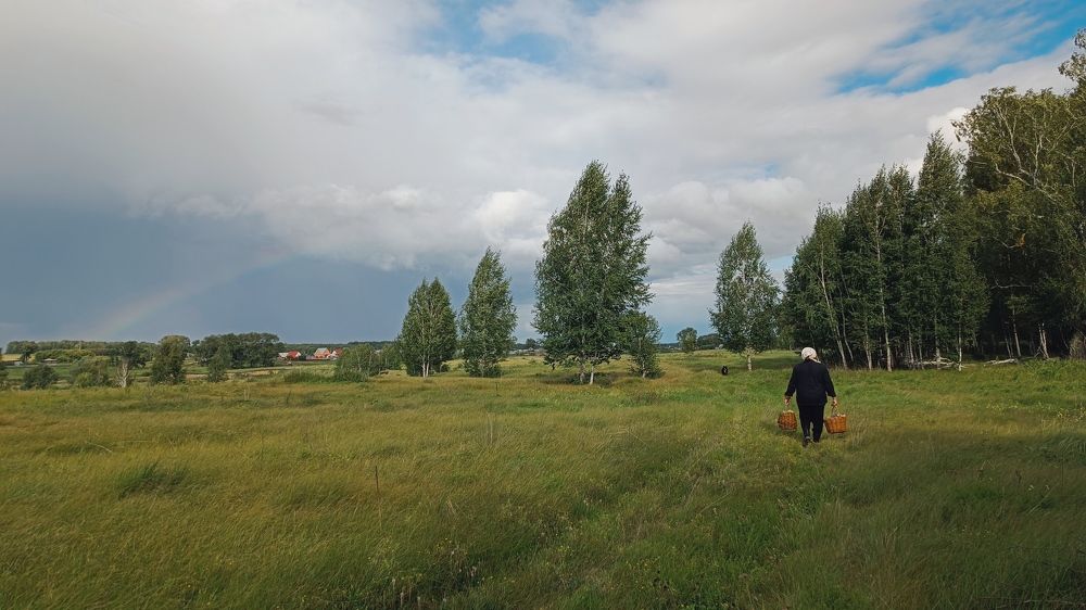 По дороге с радугой