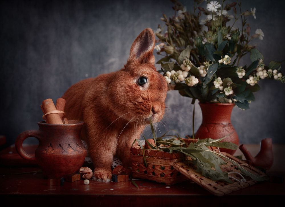 Photograph by Татьяна Звада