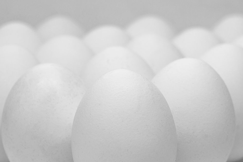 Фотография автора Валерий Елистратов