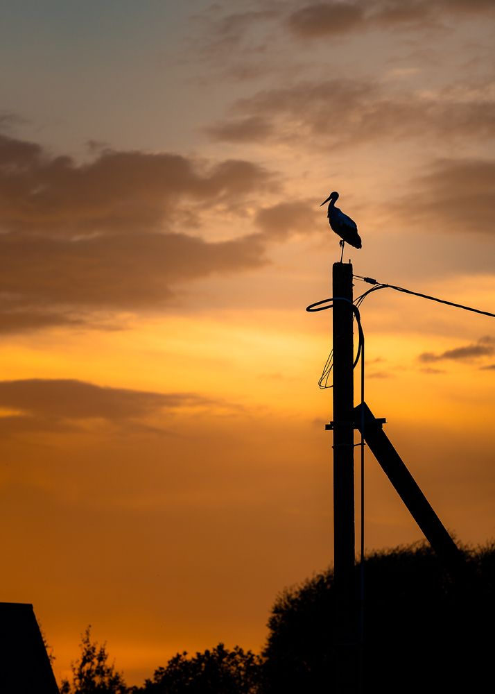 Photograph by PYATNITSKIY ANDREY