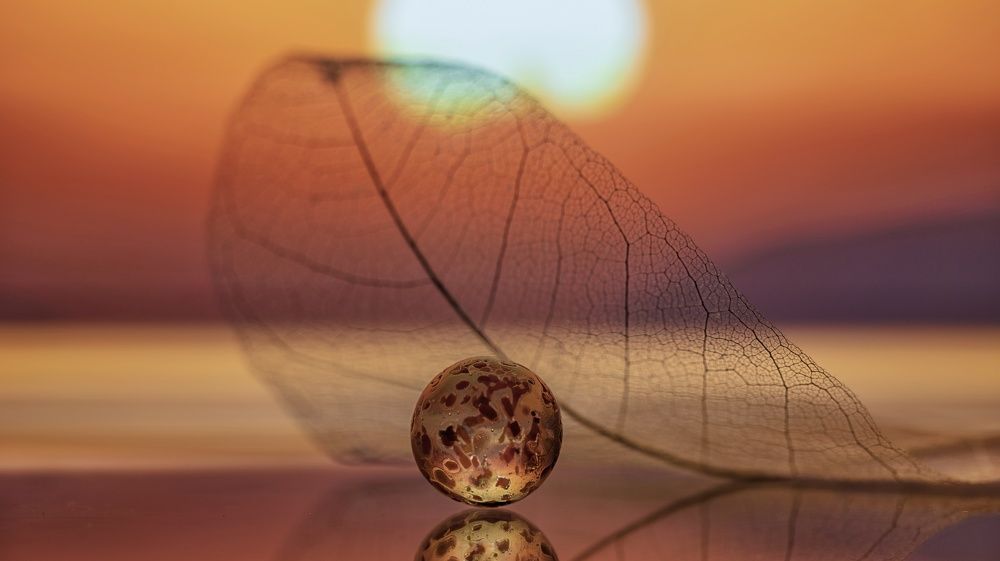 Фотография автора Мария Обидина