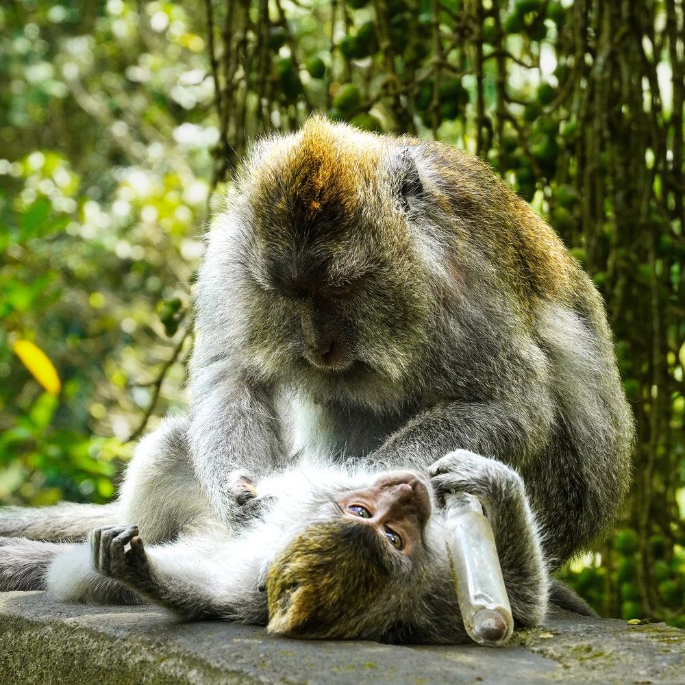 Фотография автора Наталья Князева