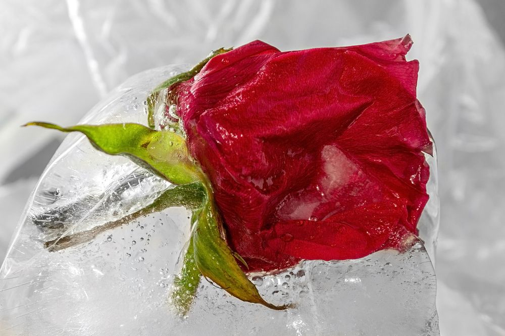 Фотография автора Валерий Елистратов