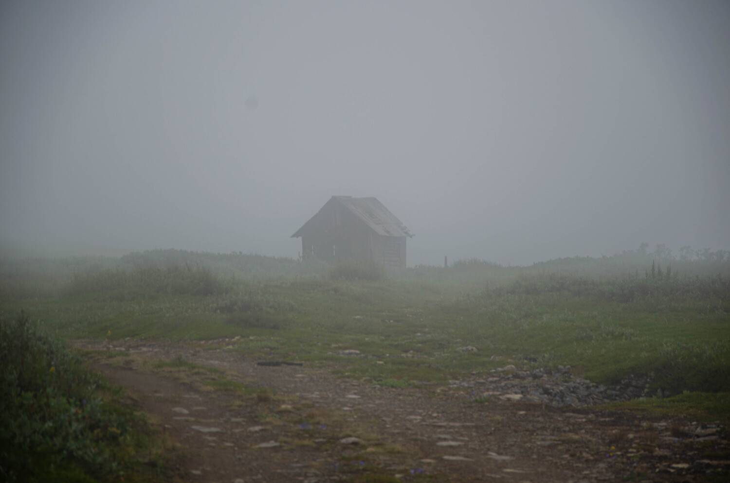 Photo #9470637