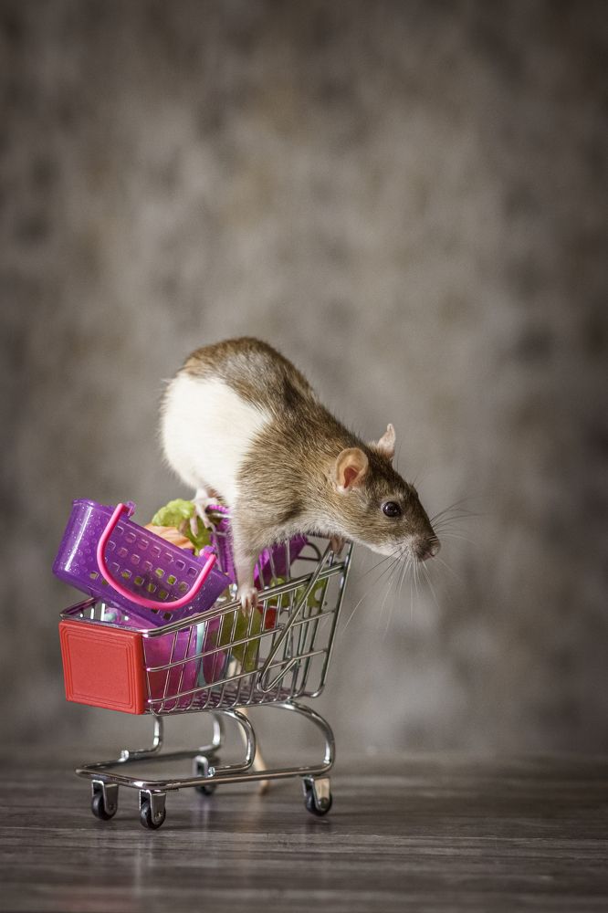 Photograph by Ольга Рачилова