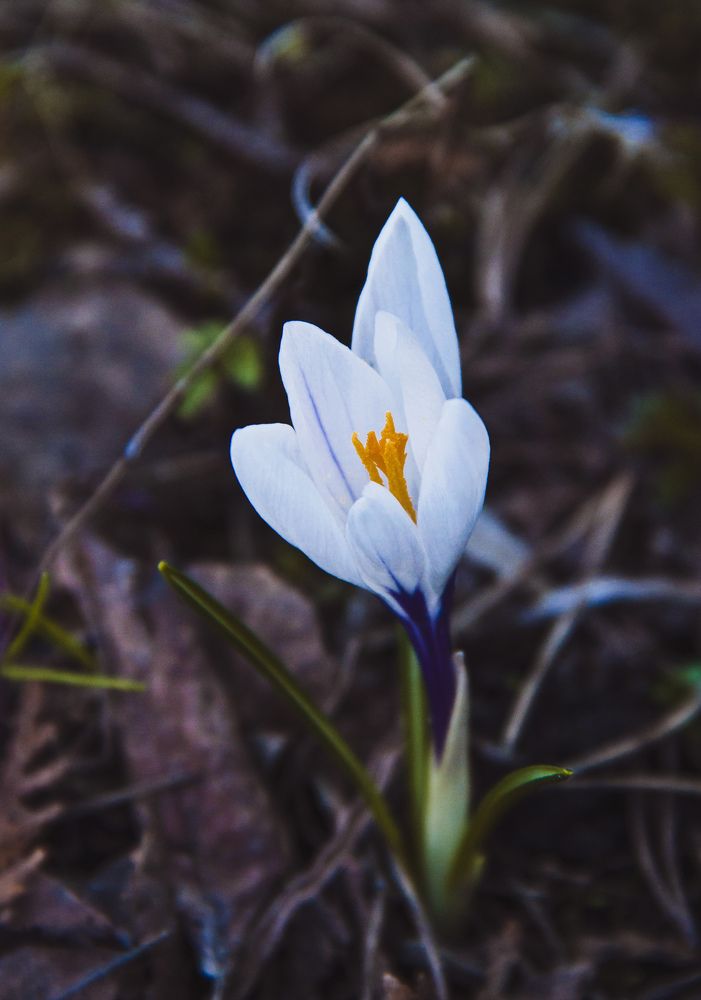 Photograph by Валерия Гуртовая