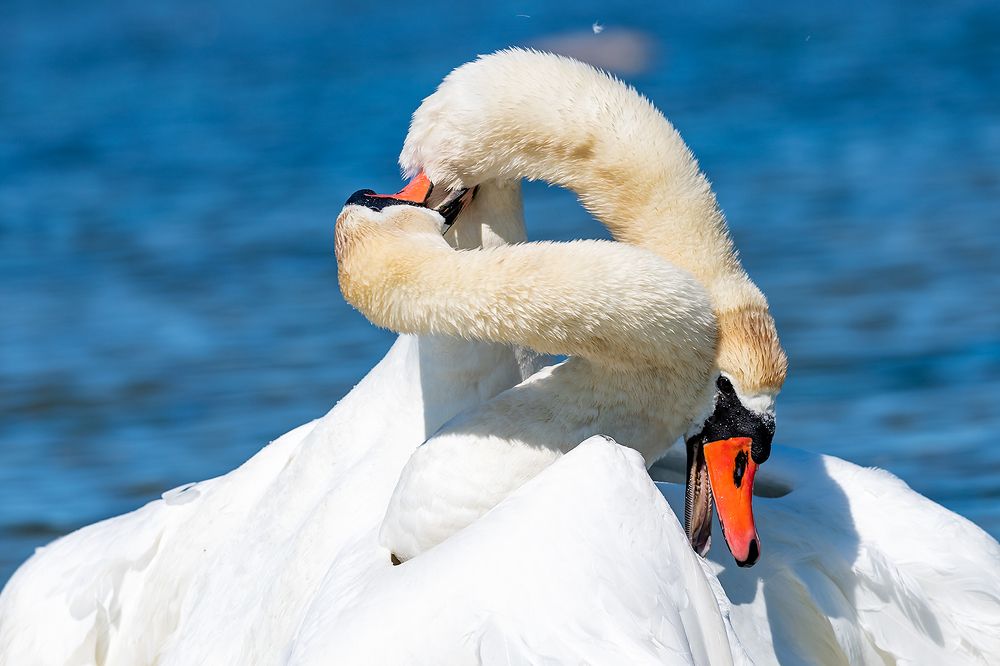 Photograph by Александр Абросимов