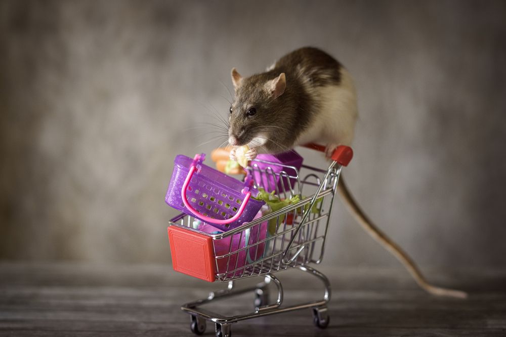 Photograph by Ольга Рачилова