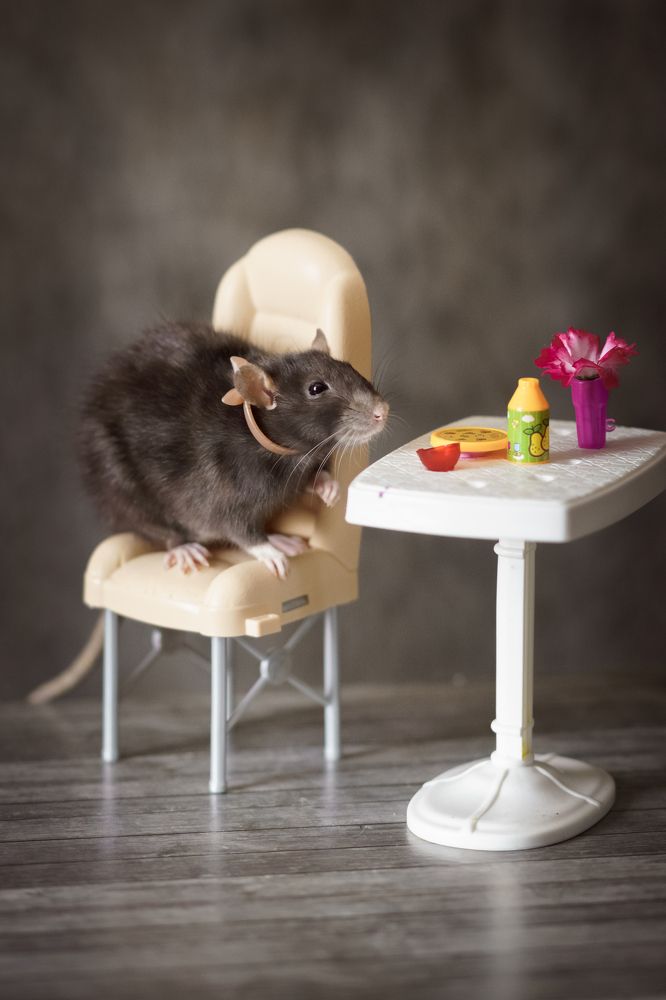 Photograph by Ольга Рачилова