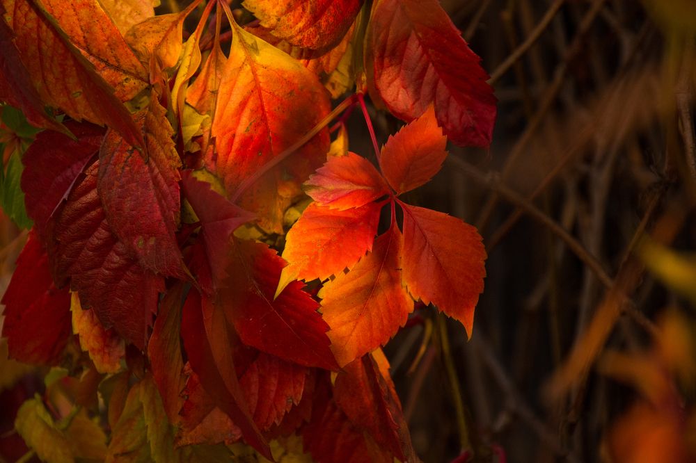 Photograph by Ольга Александрова