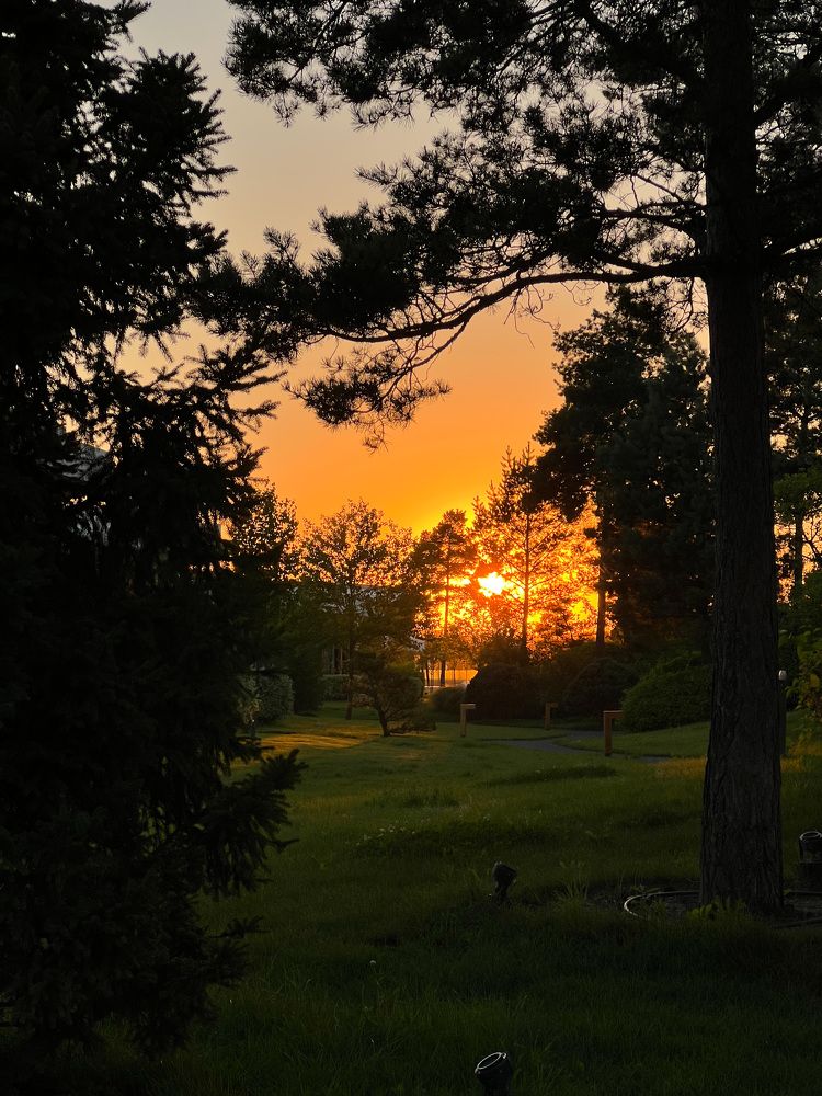 Photograph by Яна Мухина