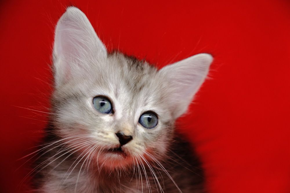 Photograph by Василий Мартынов