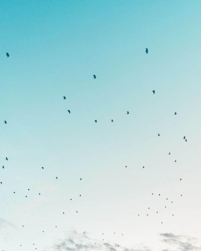 Photograph by Анастасия Черкасова