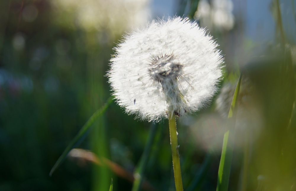 Photograph by Полина Мальцева