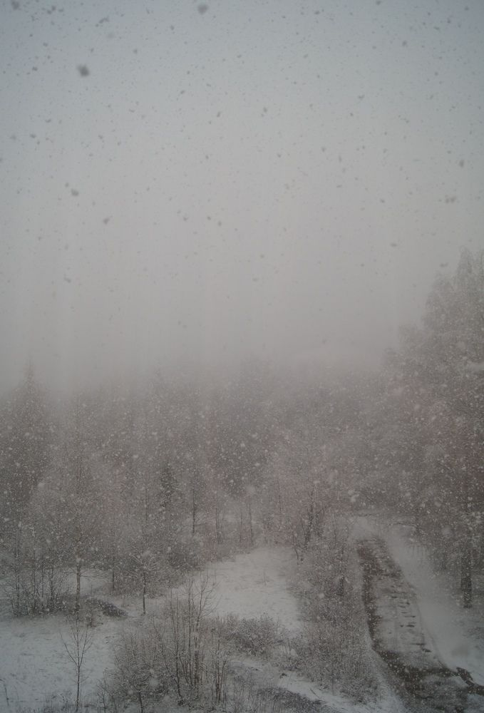 Photograph by Полина Мальцева