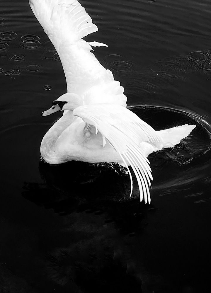 Photograph by Вера Романова