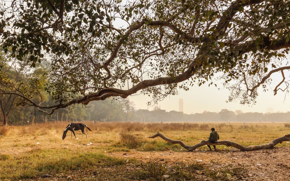 Photograph by Saumyadip Bhowmick