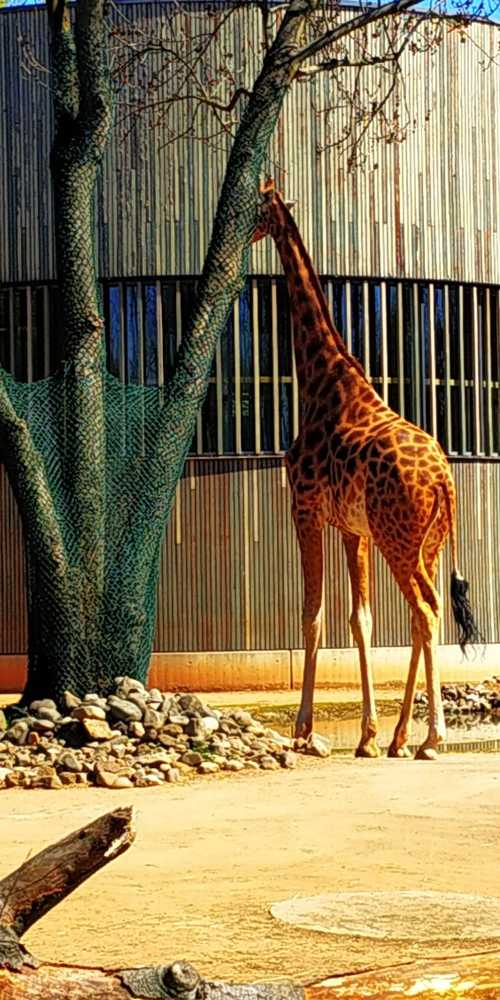 Photograph by Сергей Зиньковский