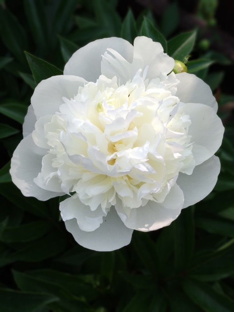 Photograph by Марина Мишина