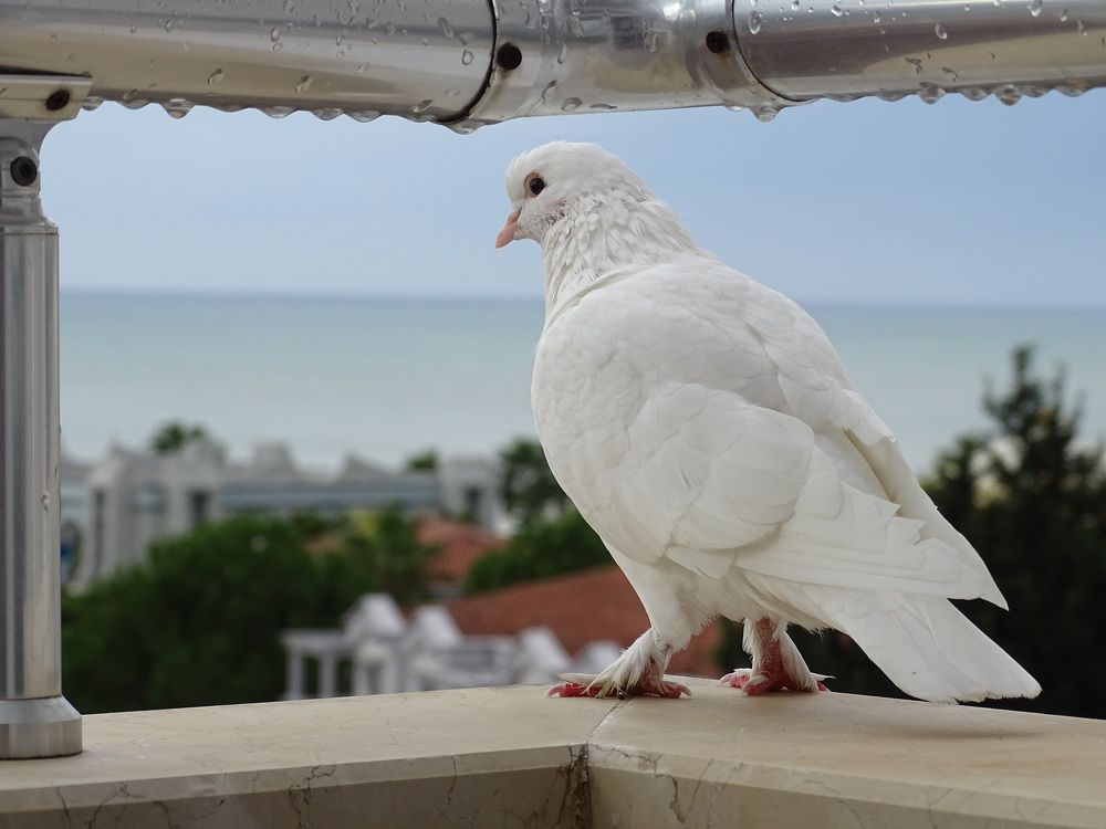 Photograph by Марина Мишина