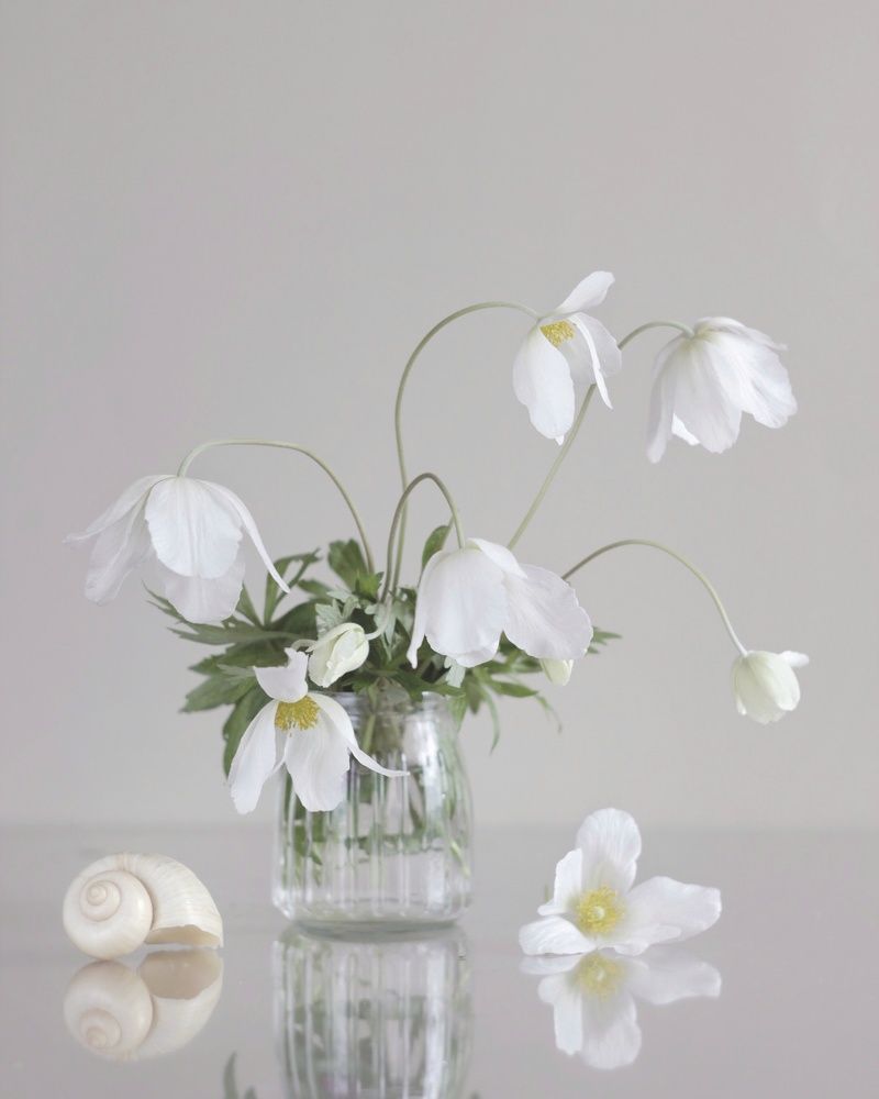 Фотография автора Елена Доянова