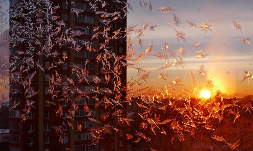 Photograph by николай зайцев