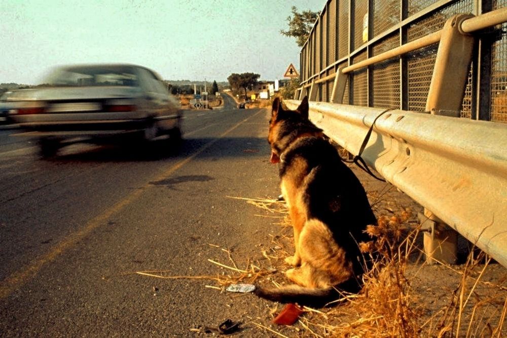 Photograph by Евгений Никонов