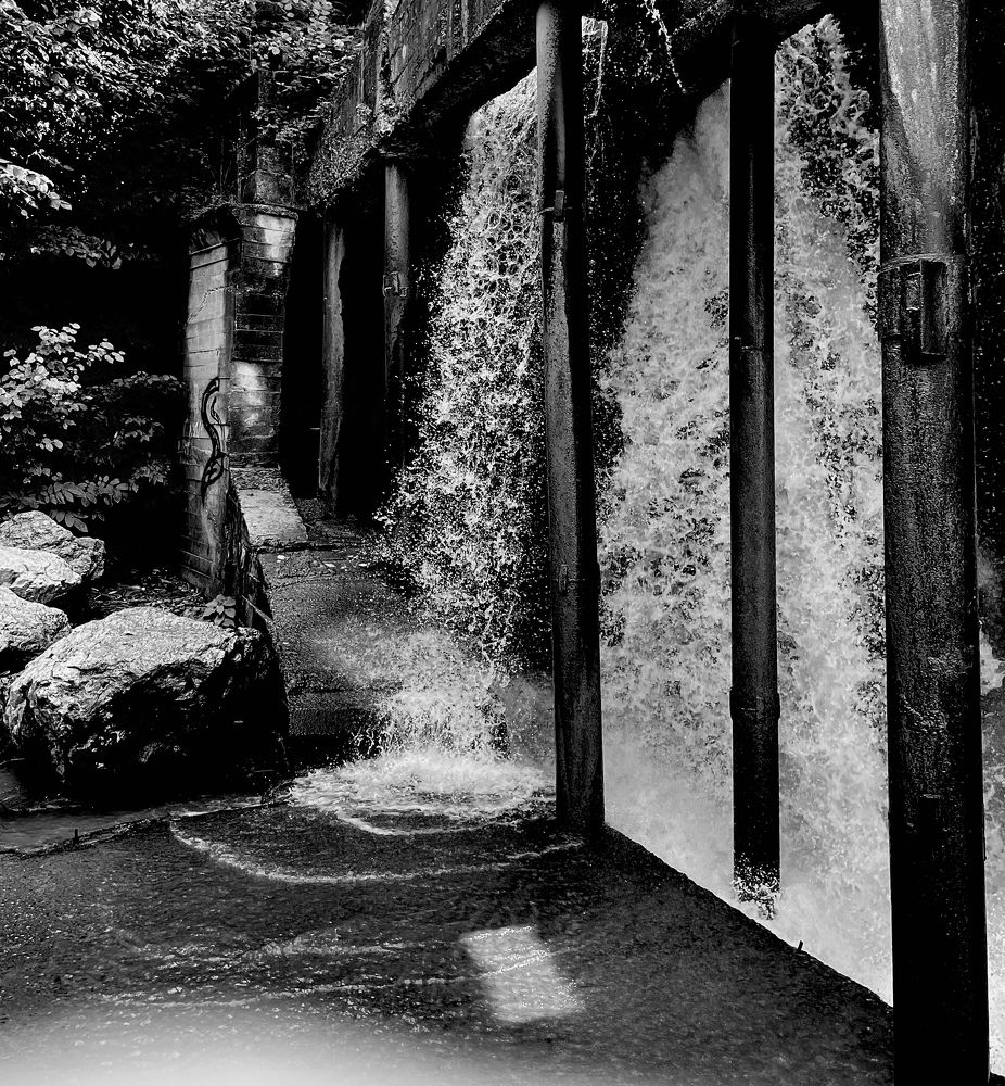 Photograph by Tatiana Teit Ash