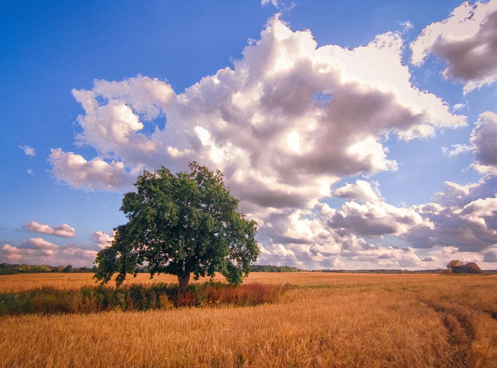 Photograph by Дмитрий Малышев