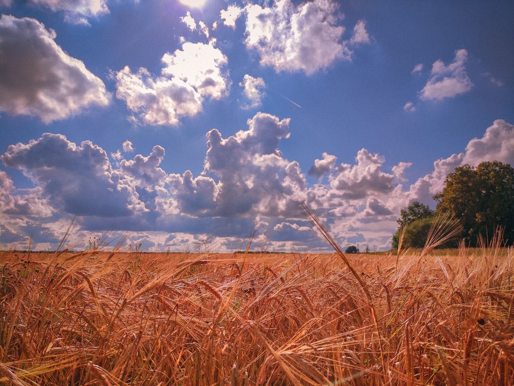 Photograph by Дмитрий Малышев