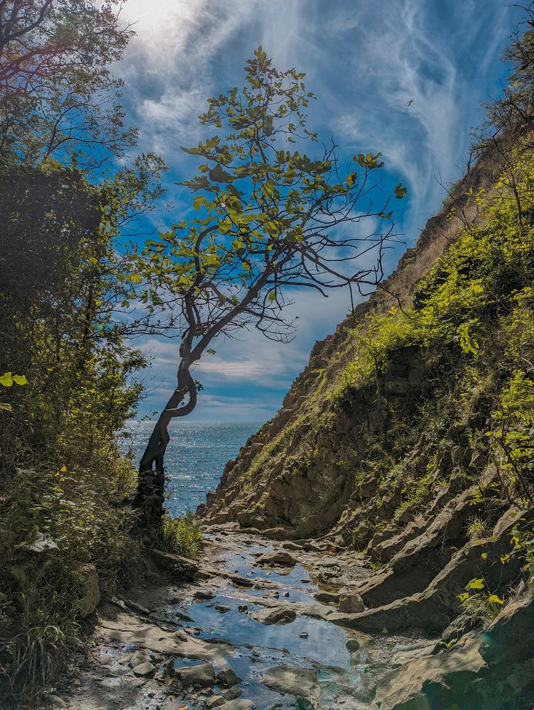 Photograph by Елизавета Коровина