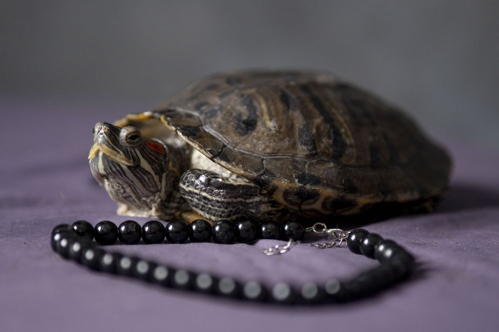 Photograph by Марина Вильдяева