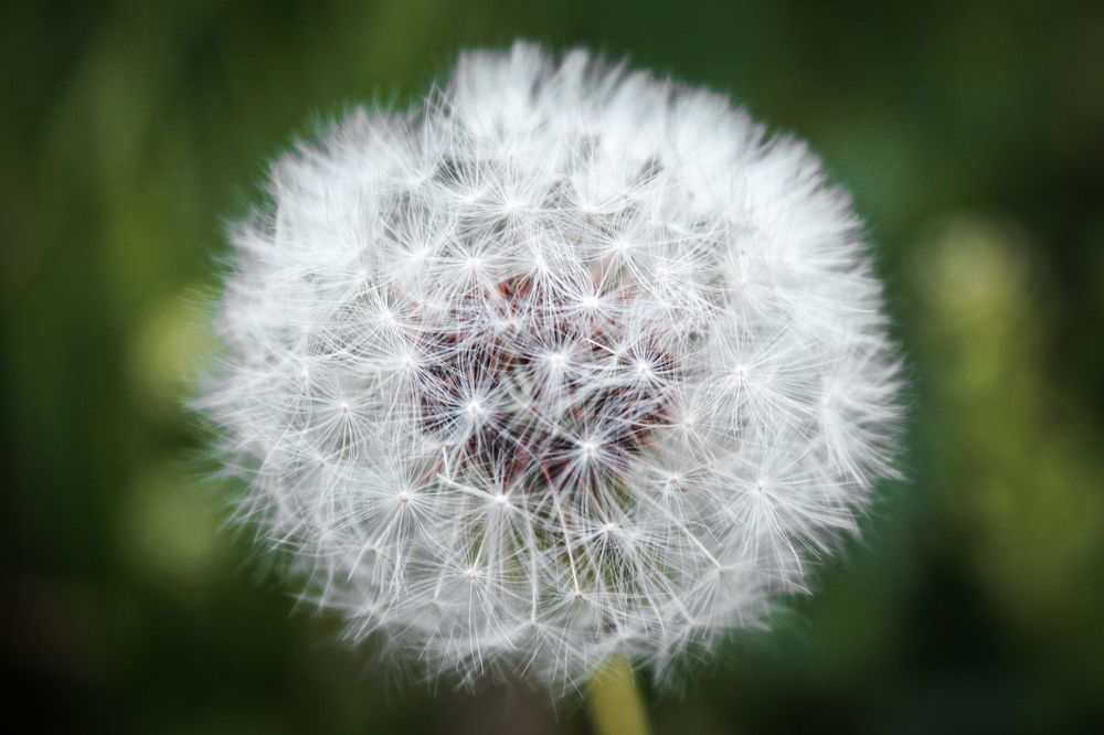 Photograph by Дмитрий Рзянин