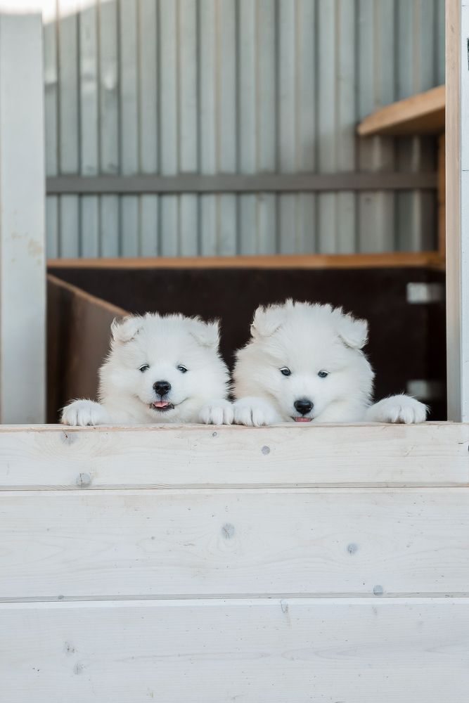 Photograph by Alena Ivanova