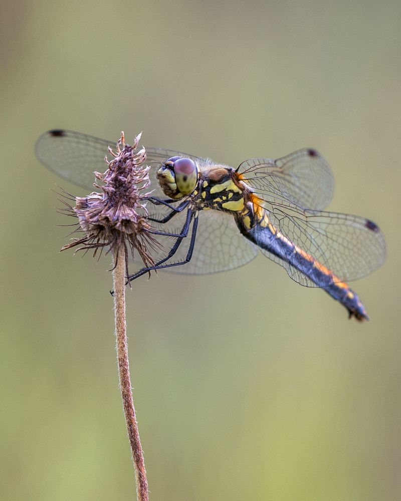 Photograph by Михаил