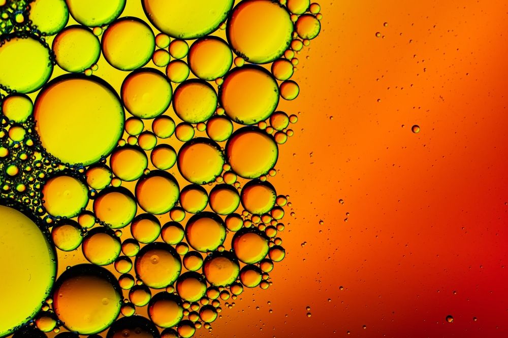 Photograph by Kamil Stępień